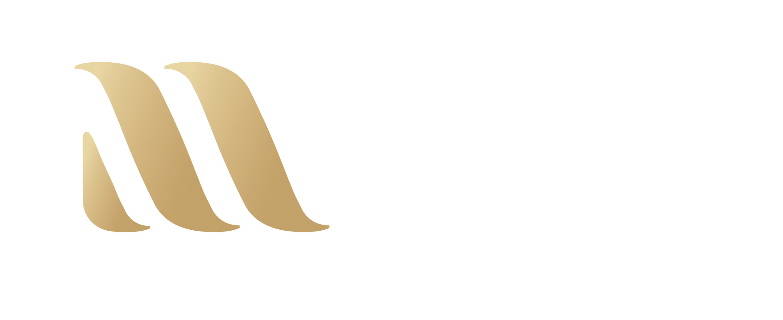 Murray River Paddlesteamers Cruises Echuca Victoria, Day Cruises and Overnight Cruises with Murray River Paddlesteamers logo