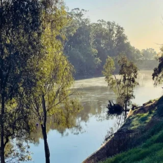 Instagram post from murrayriverps. This post is in position 1.