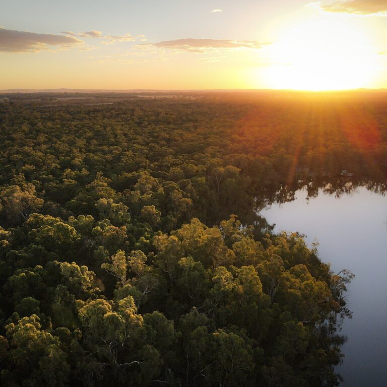 Instagram post from murrayriverps. This post is in position 1.