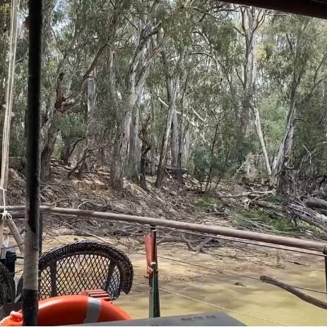 Instagram post from murrayriverps. This post is in position 1.